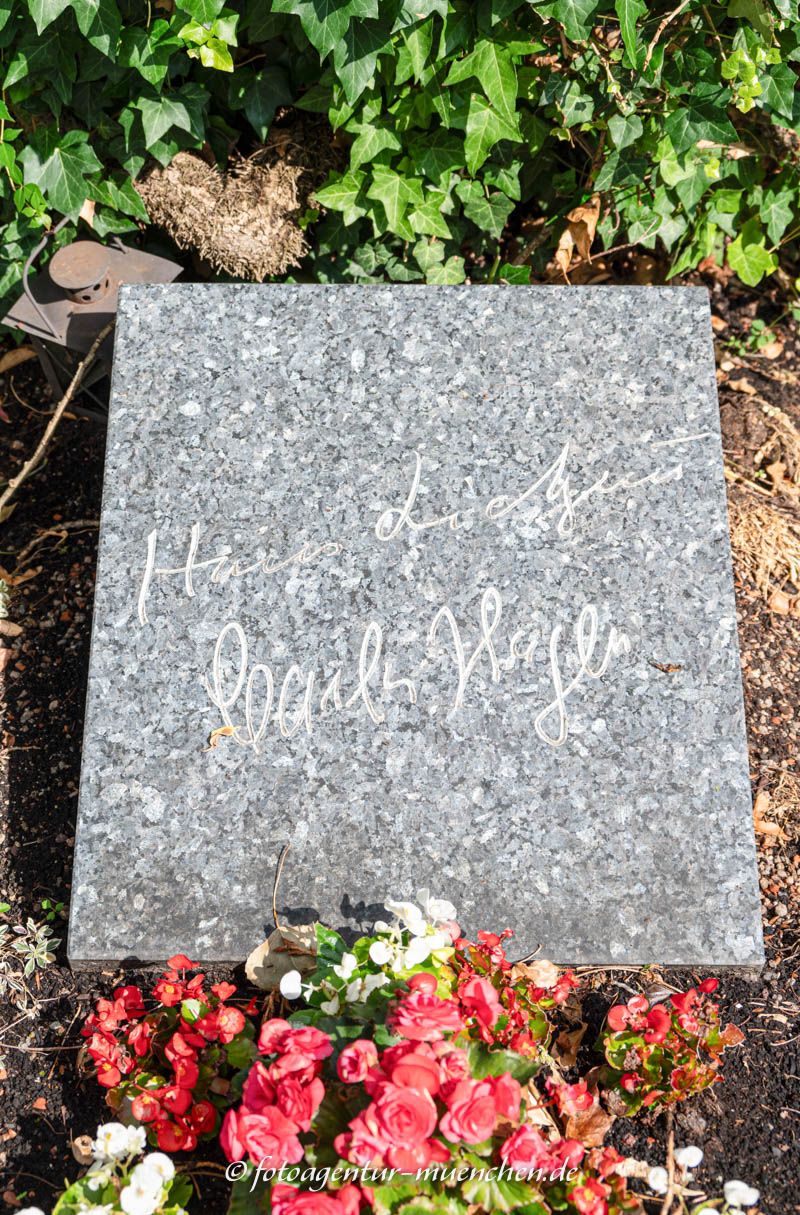 Hans-Wilhelm Lietzau