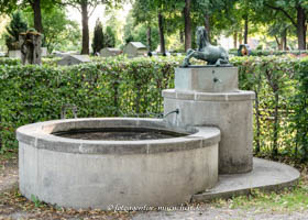 Fohlen (Brunnen)