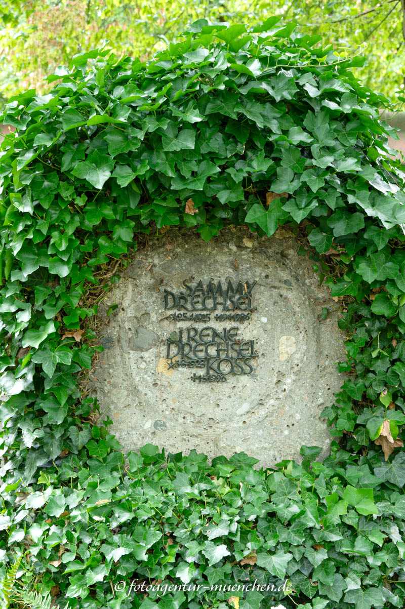 Sammy Drechsel