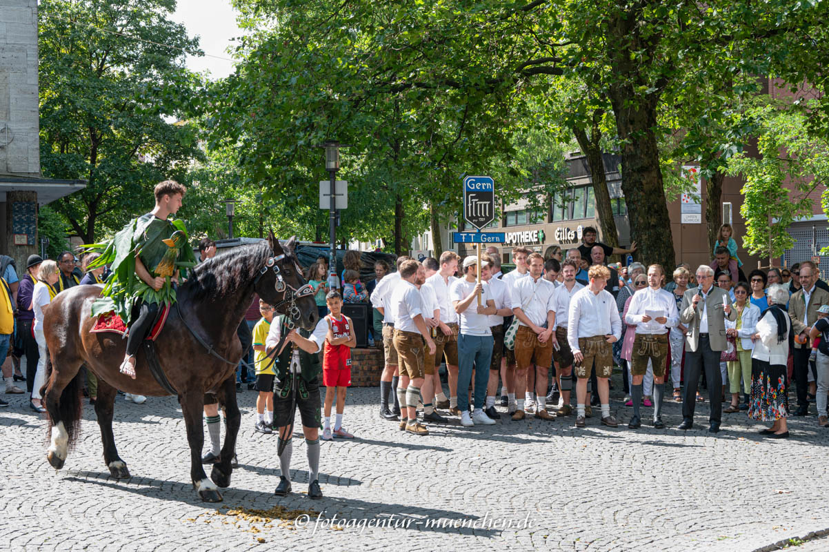 Gerhard Willhalm - Wasservogelfest