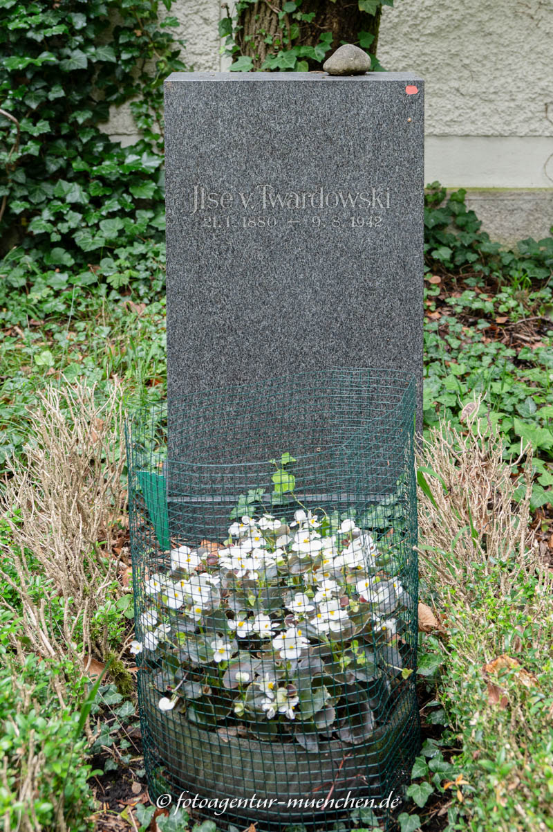 Ilse von Twardowski