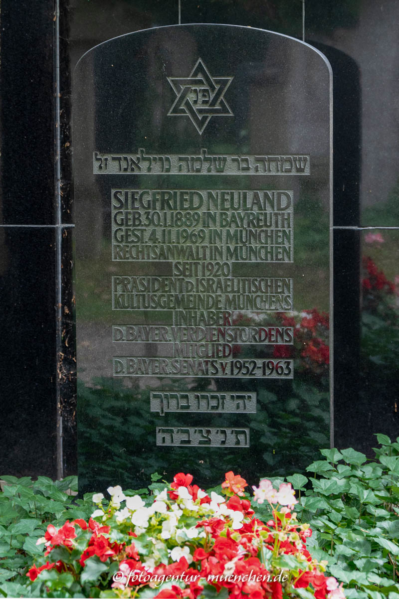 Grab - Siegfried Neuland