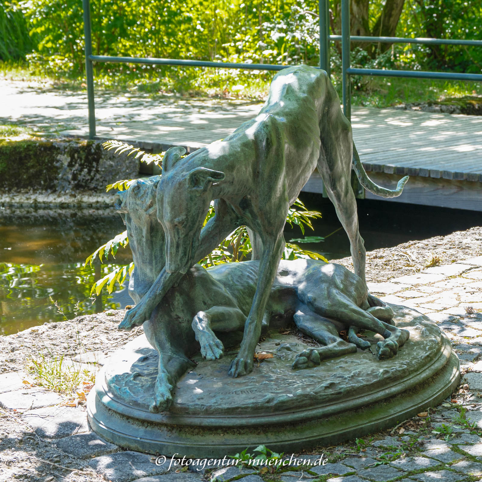 Spielende Hunde