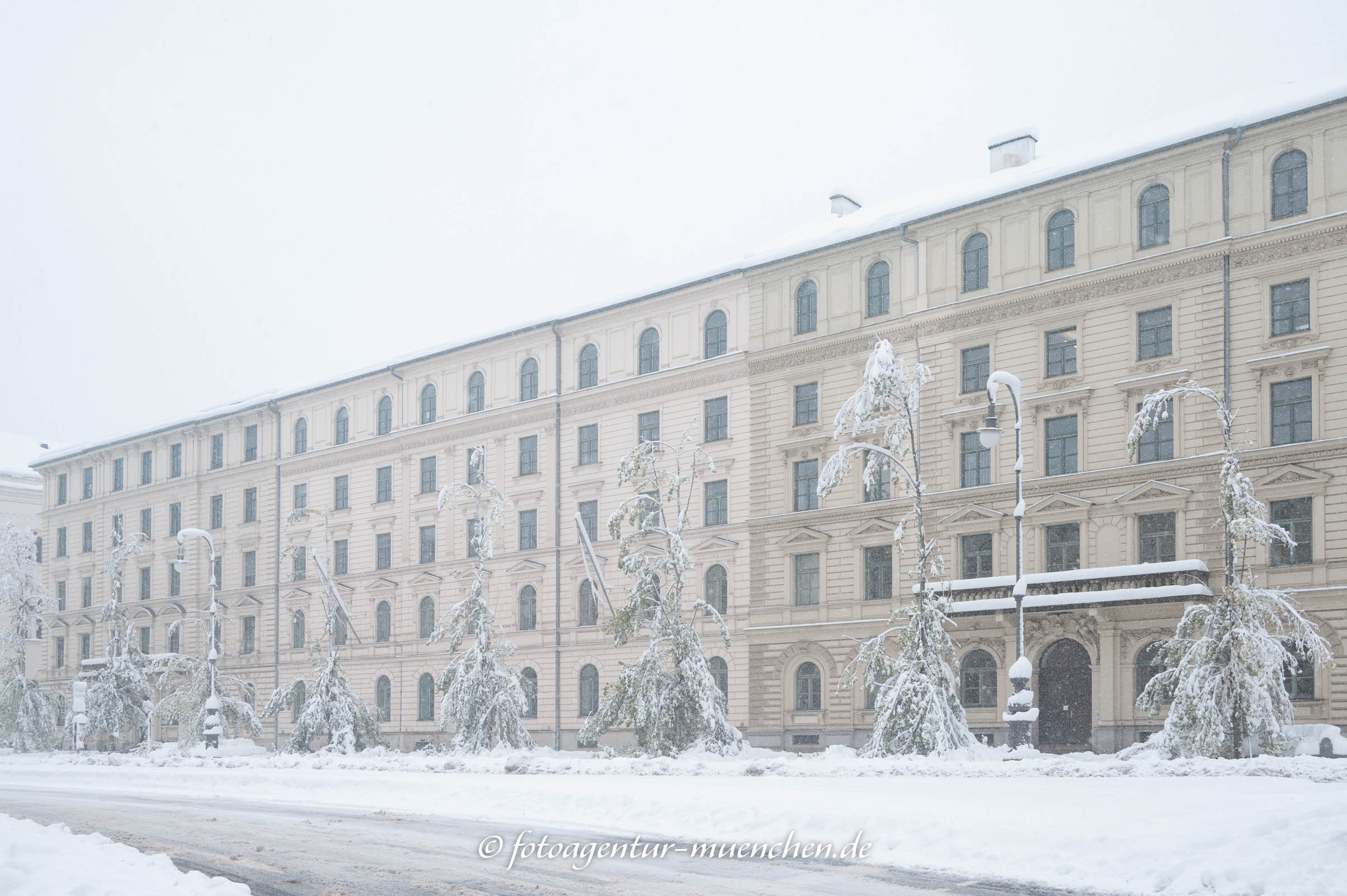 Durch den Schneefall beschädigte Bäume in der Ludwigstraße