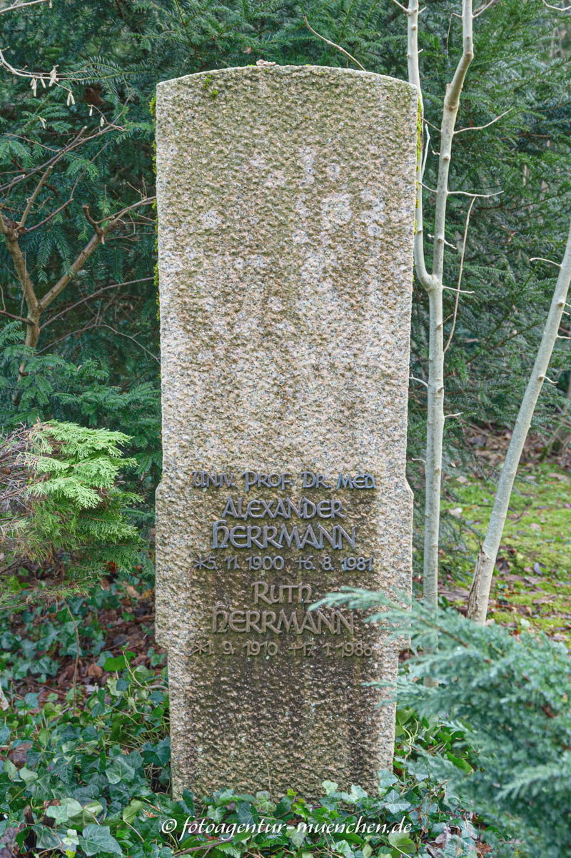 Alexander Hermann