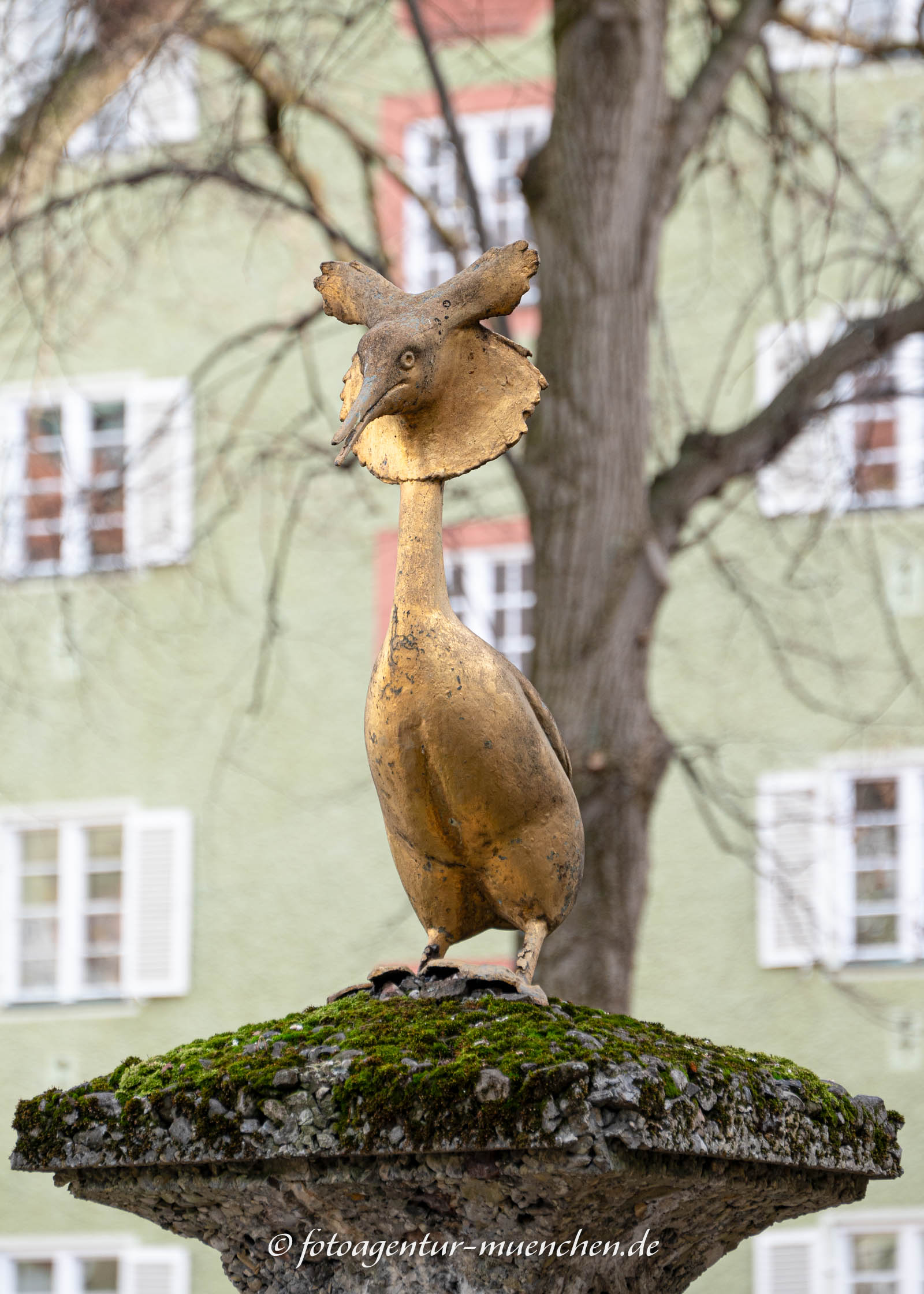 Haubentauscher