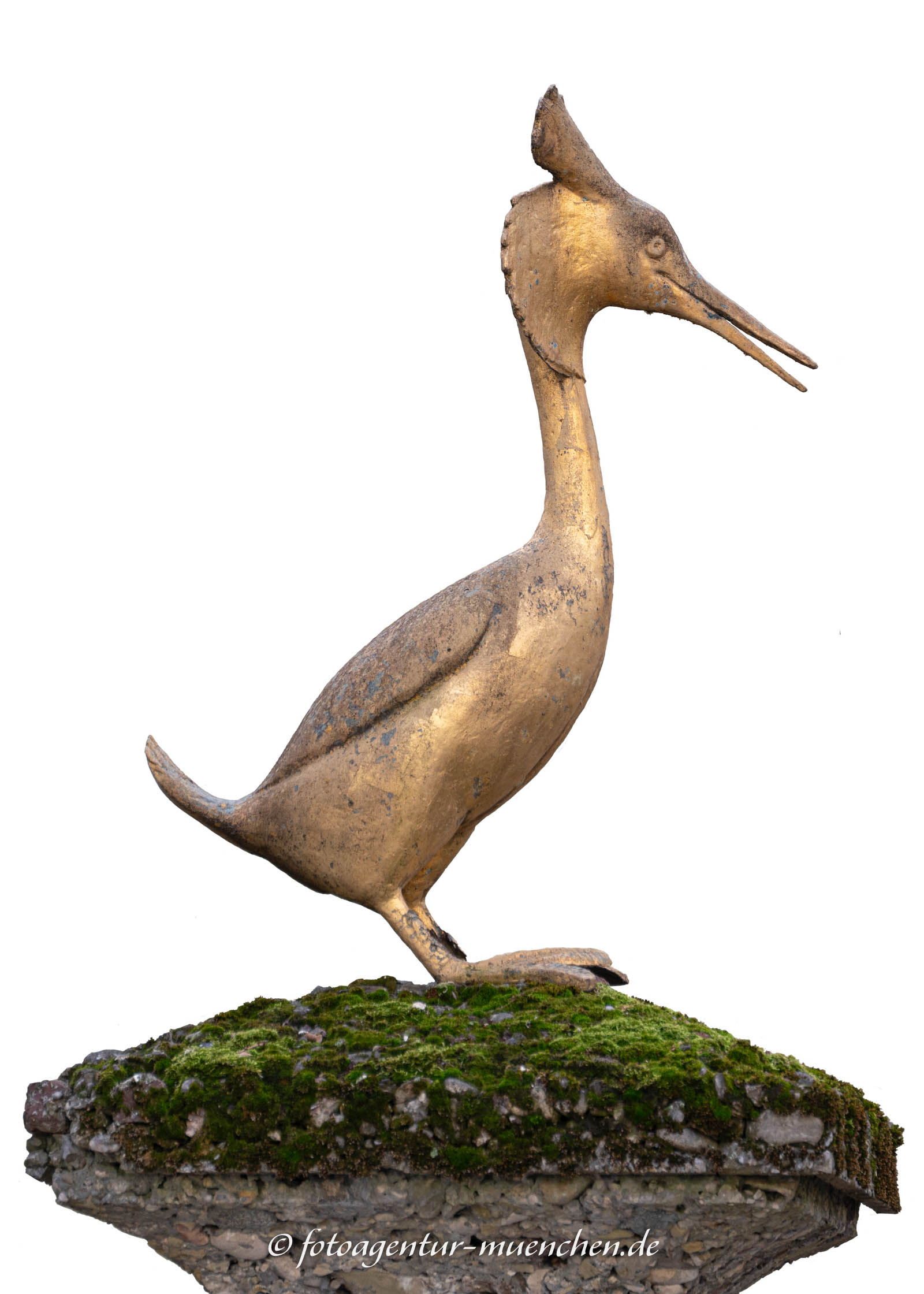 Haubentauscher