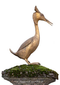 Haubentaucher 1958