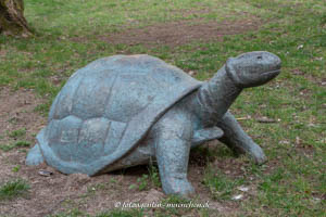  - Schildkröte