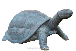 Schildkröte