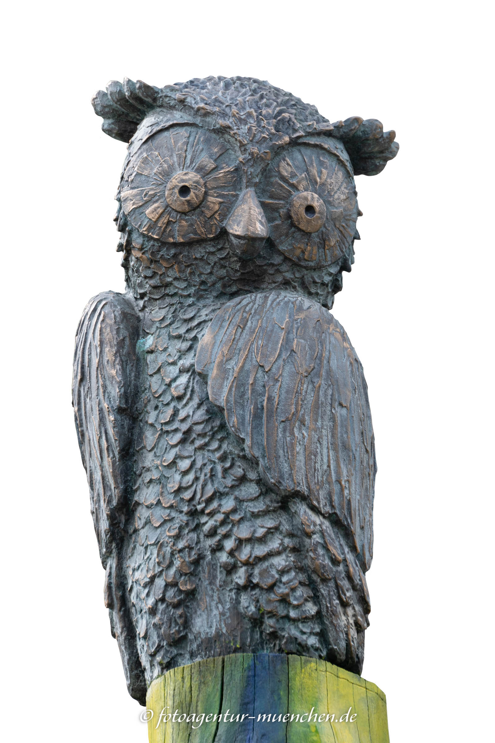 Eule