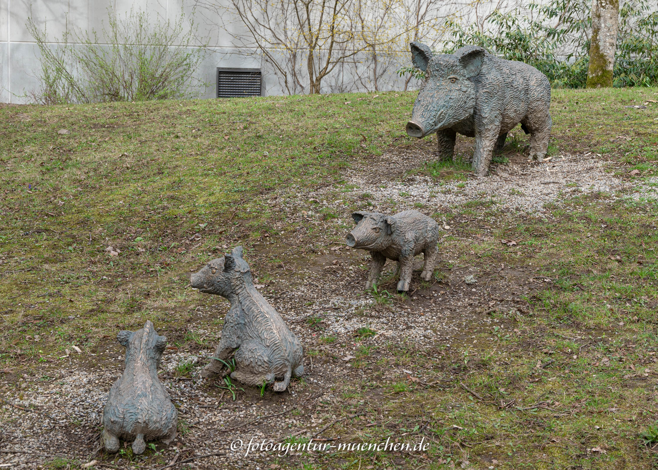 Wildschweine