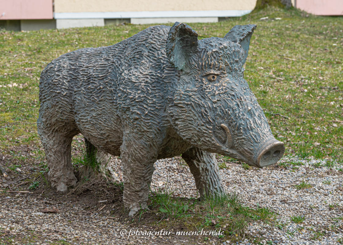 Wildschwein