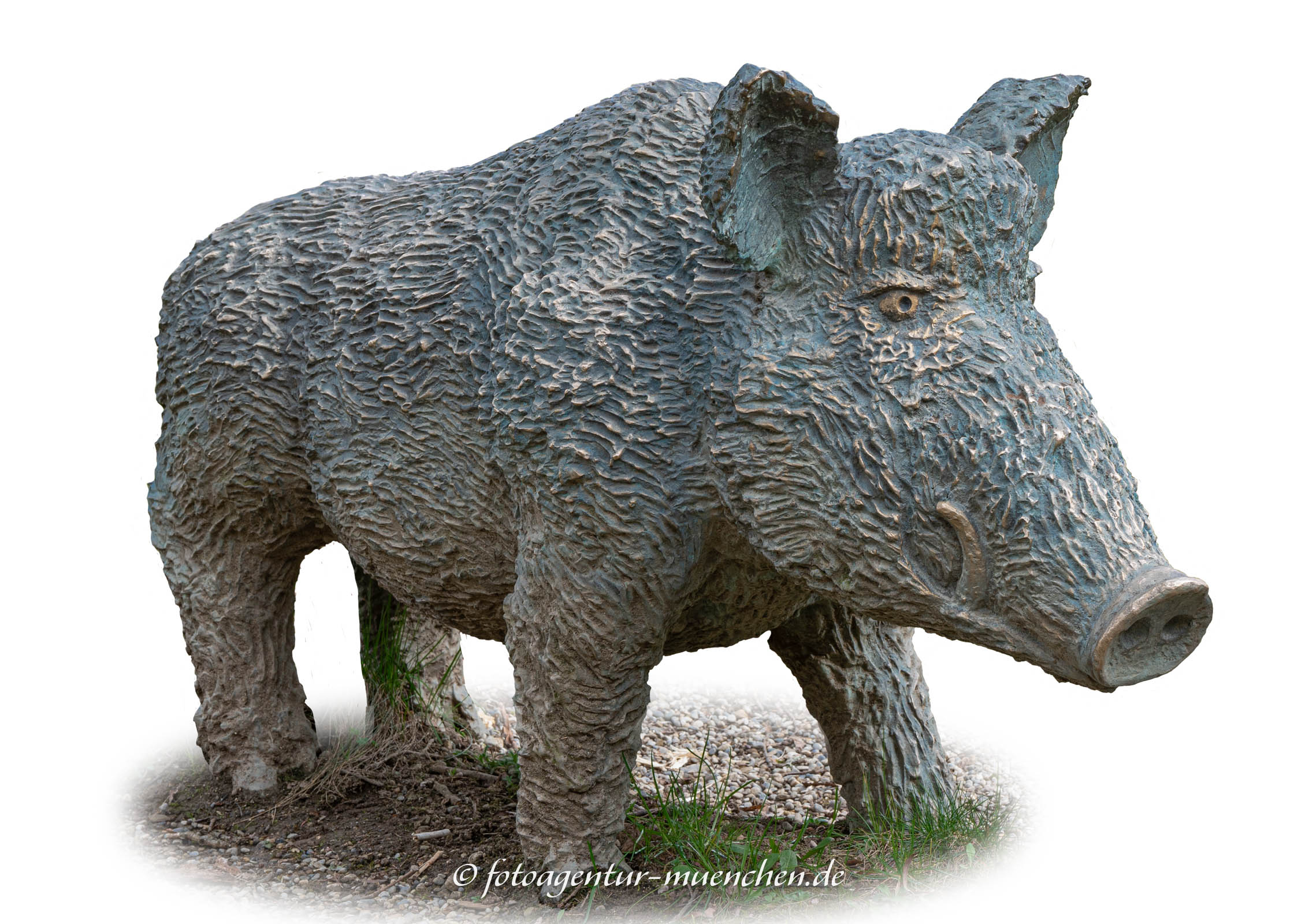 Wildschwein