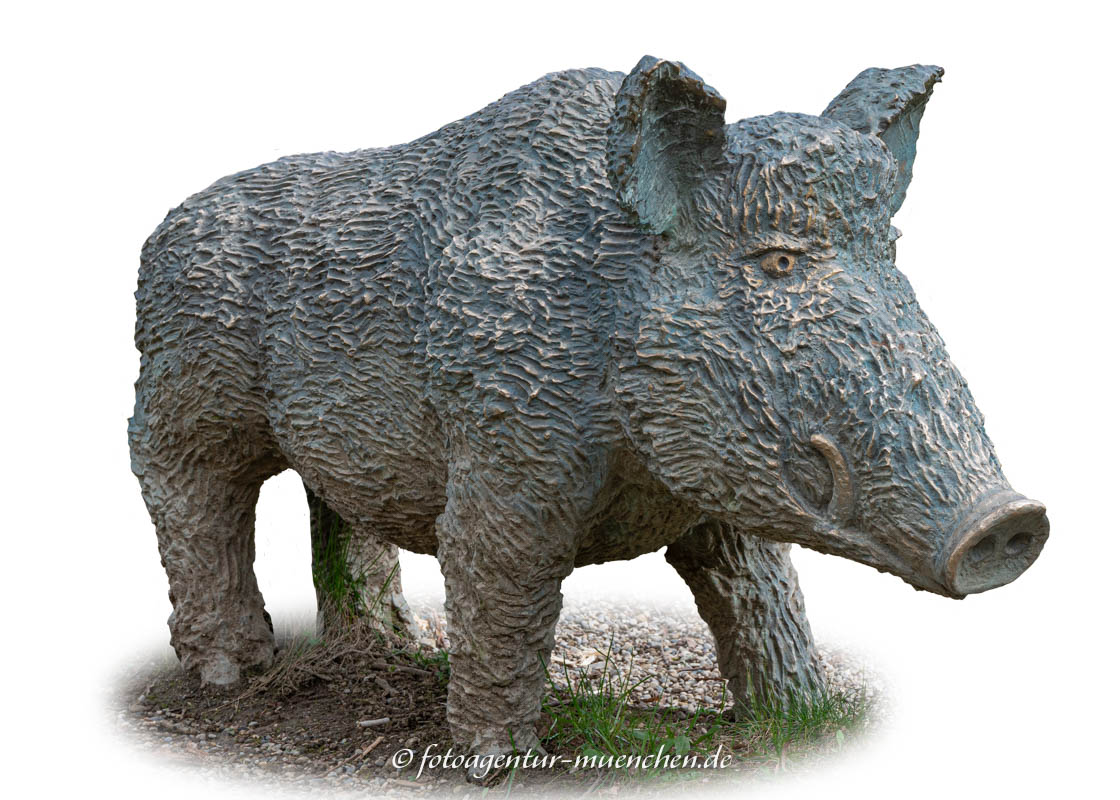 Wildscheine Wildschwein