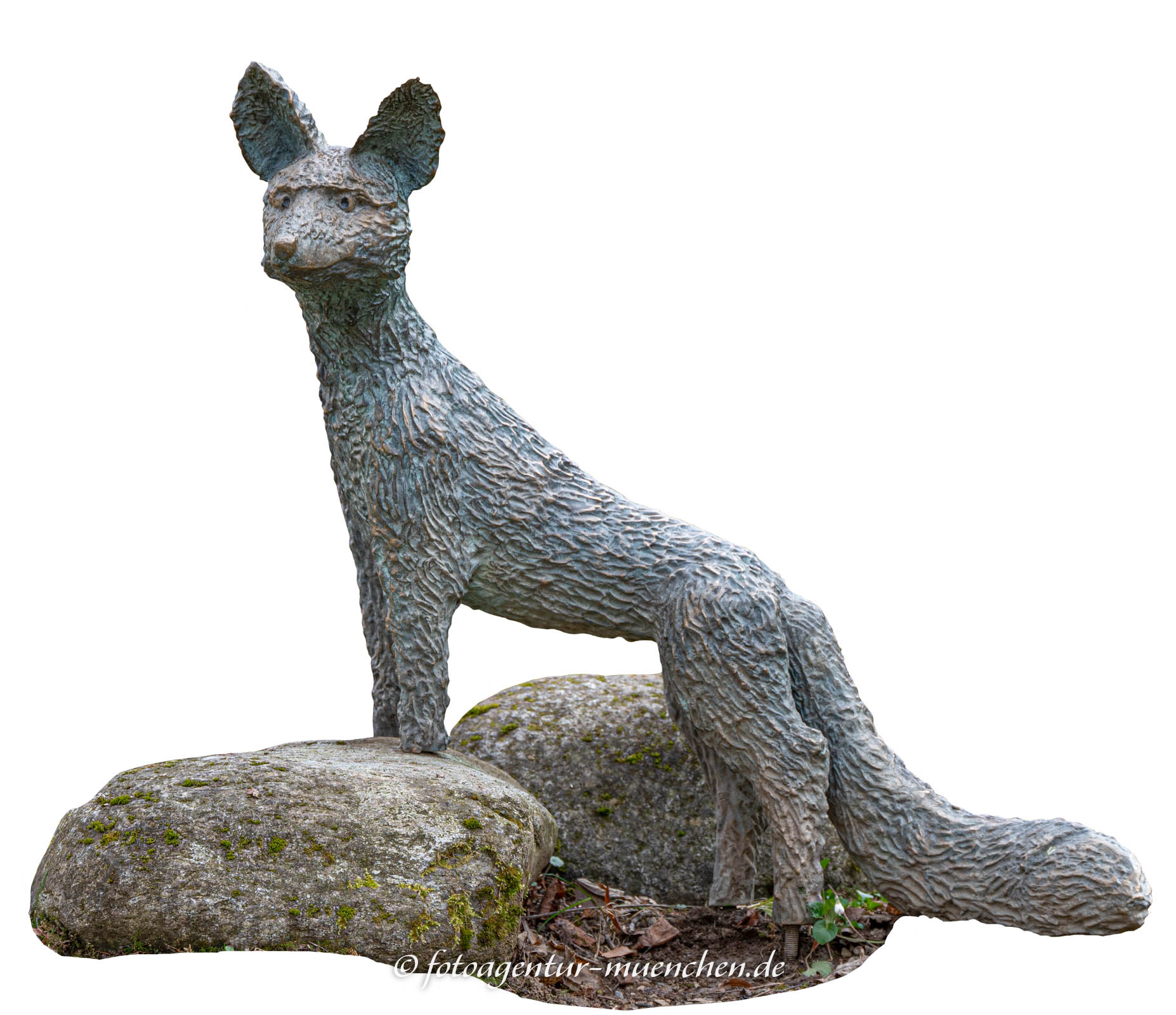 Fuchs