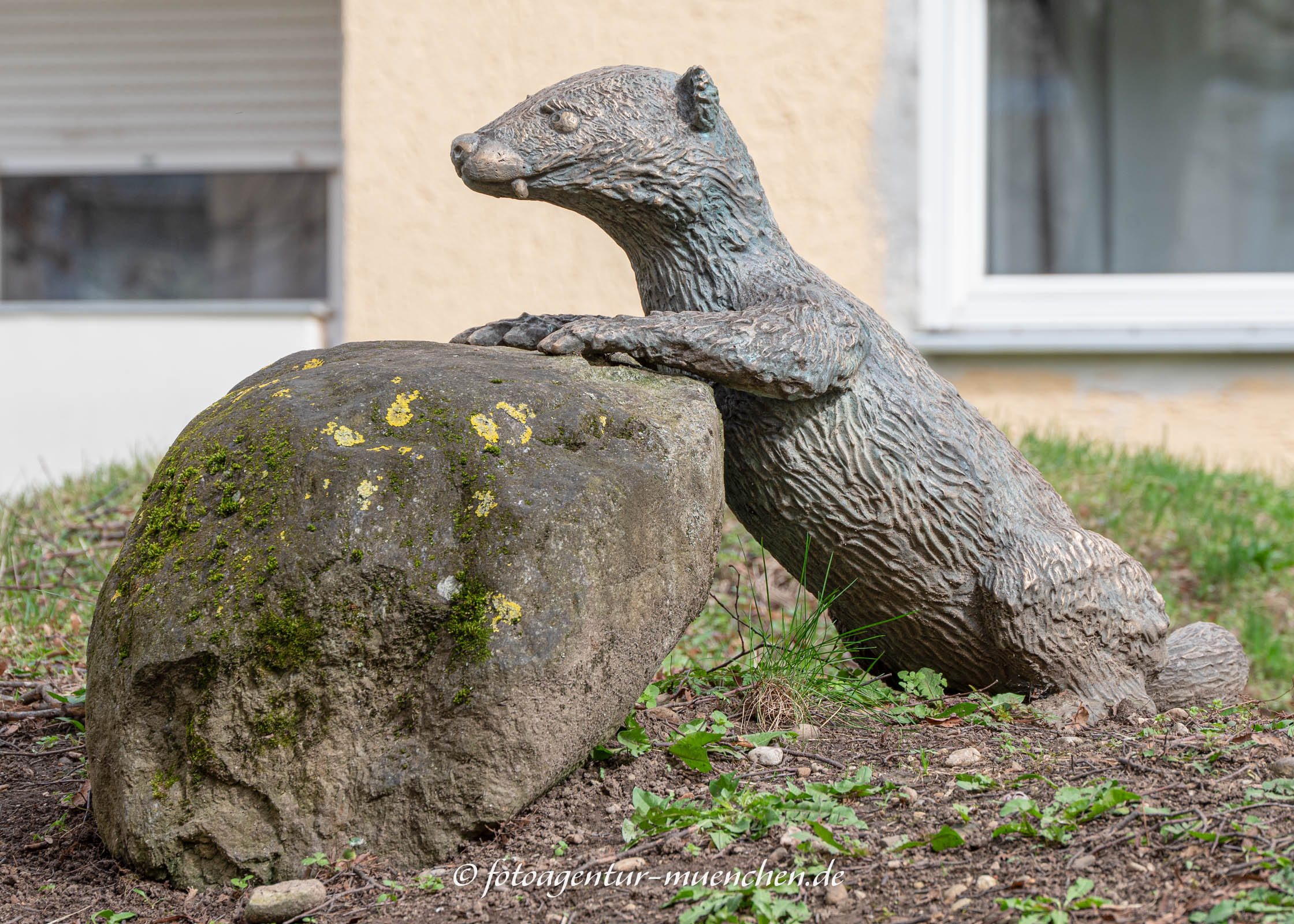 Otter