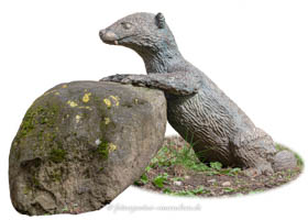 Otter 2007