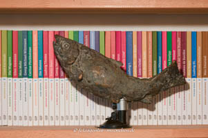 Gerhard Willhalm – Fisch im Regal