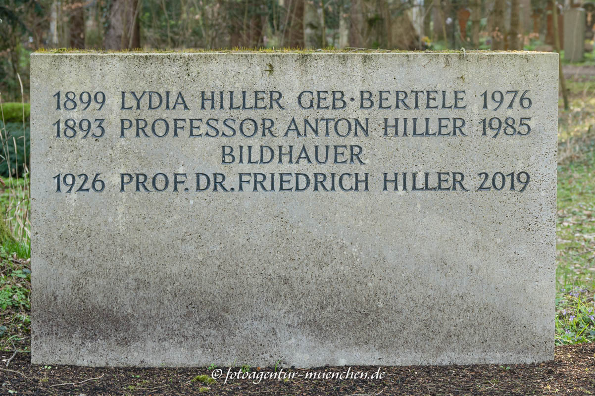 Prof. Anton Hiller