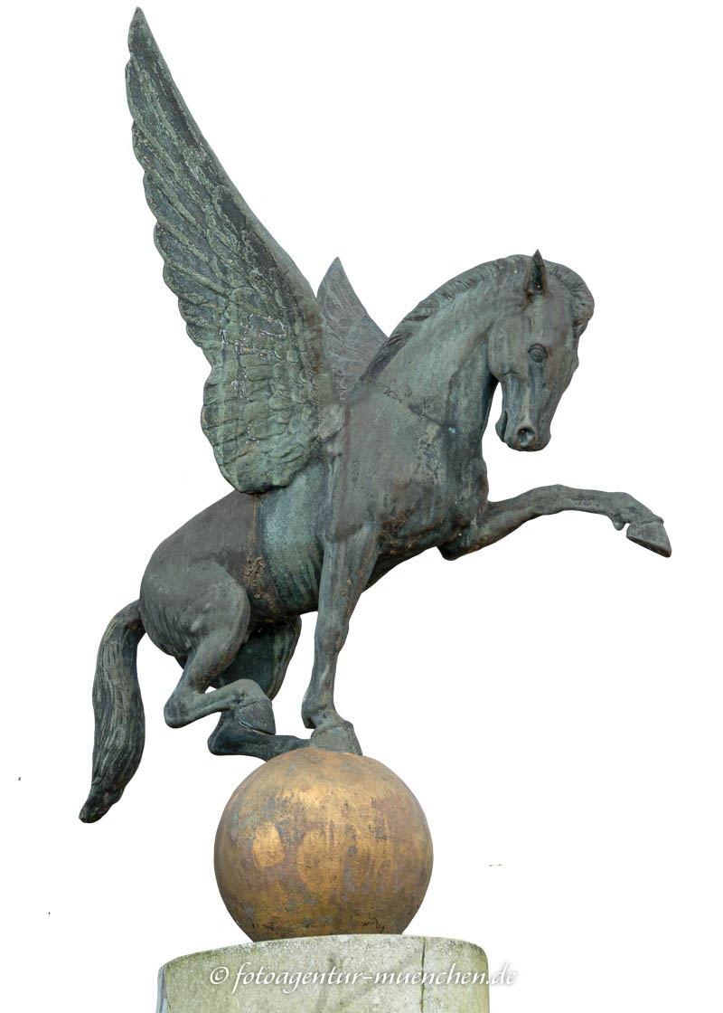 Pegasus Pegasus
