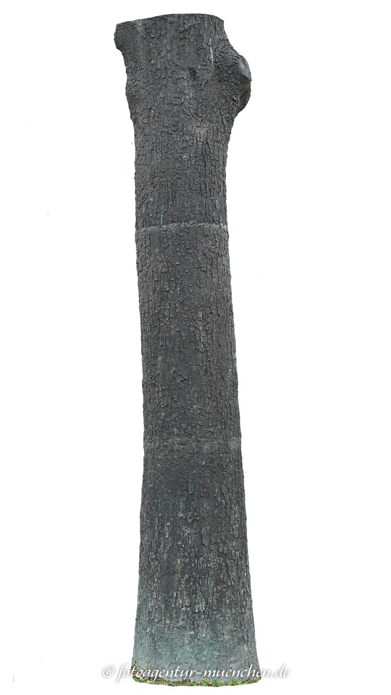  2013