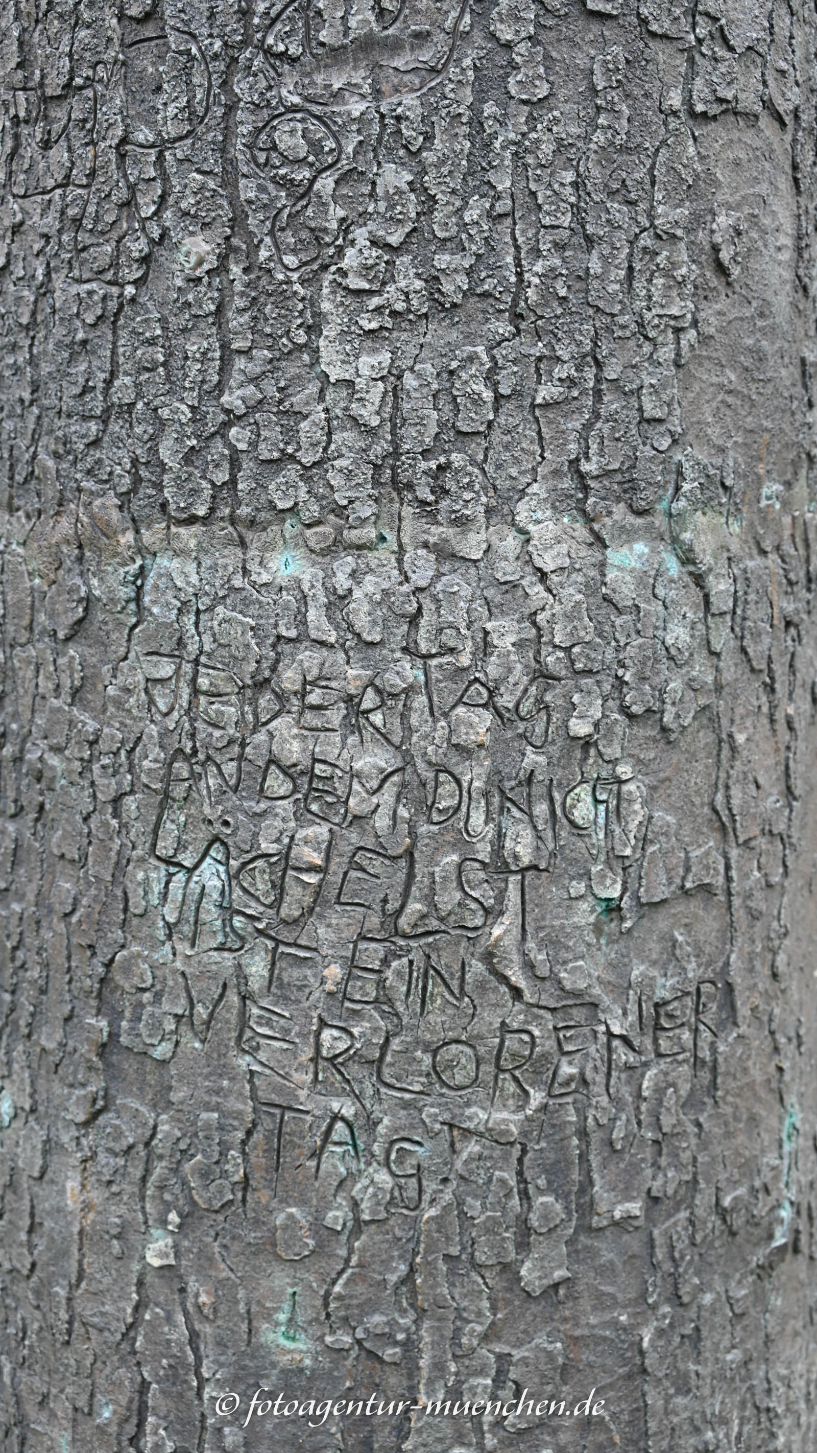 Es war einmal ein Baum