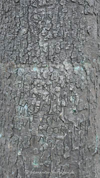 Gerhard Willhalm – Es war einmal ein Baum