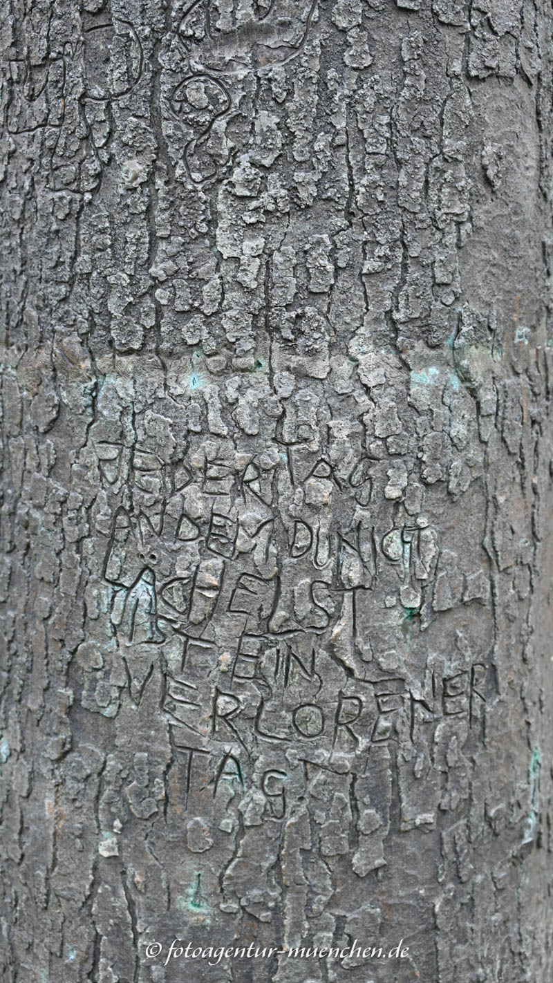 Es war einmal ein Baum
