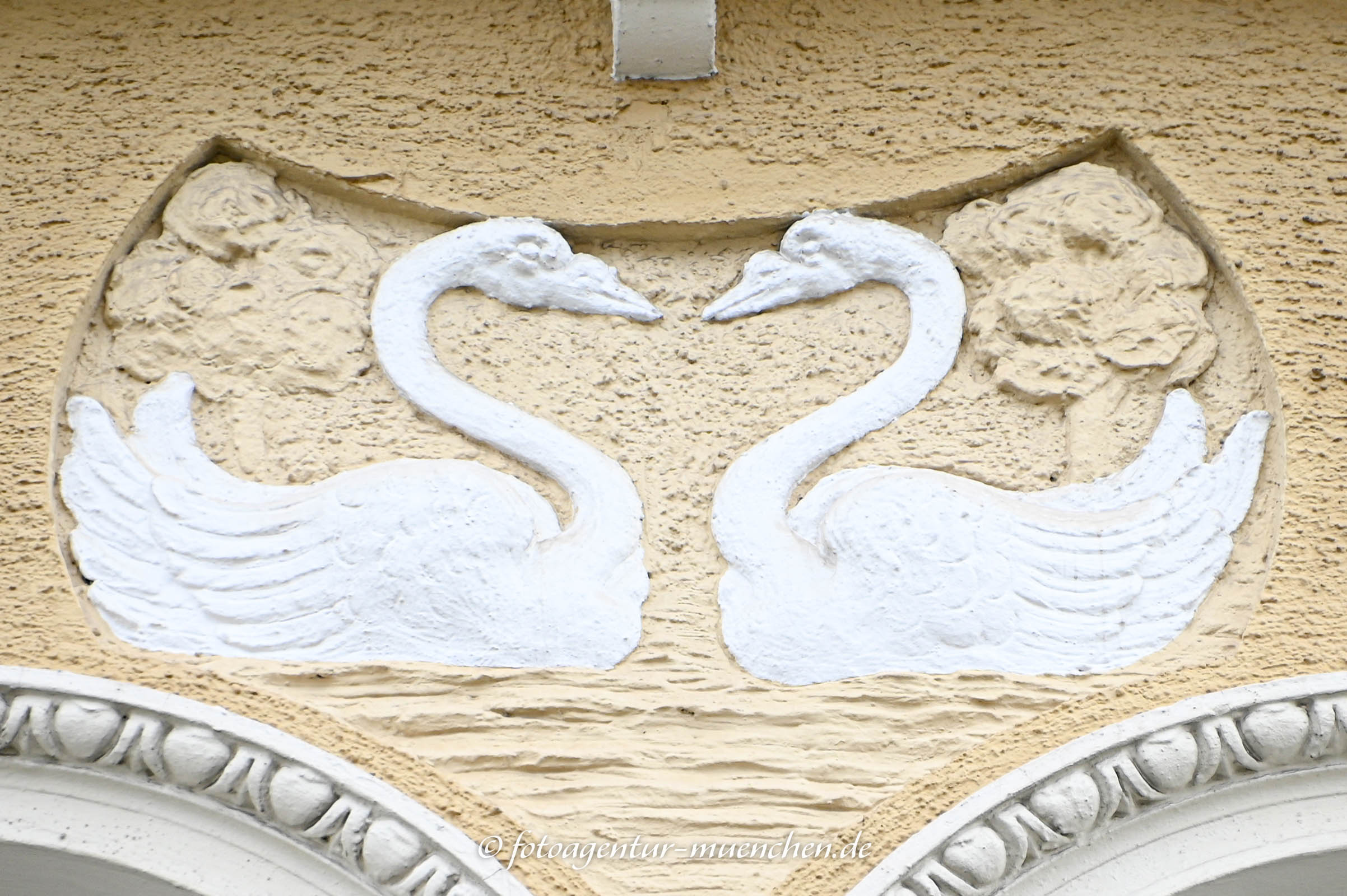 Schwan