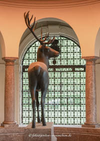 Hirsch