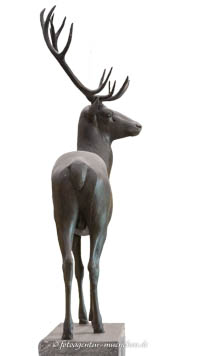Hirsch