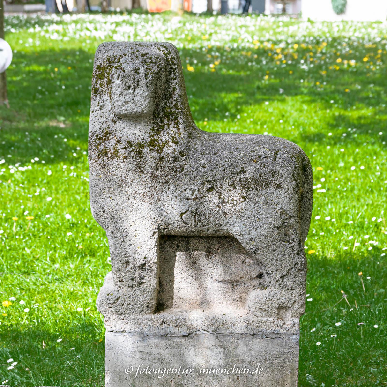 Löwe