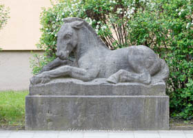 Fohlen