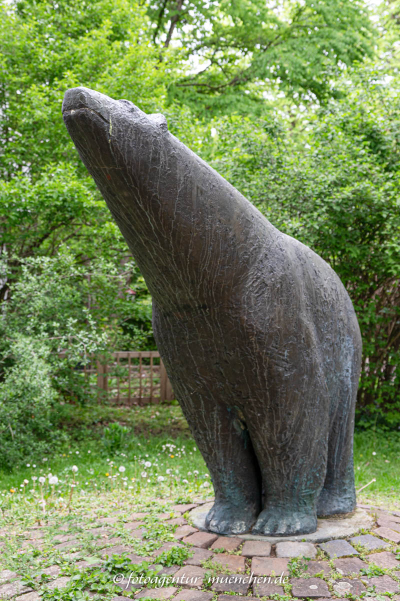 Eisbär