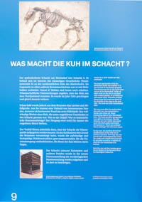 Denkmal: Archäologie München - Tafel 9