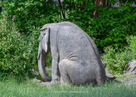 Sitzender Elefant in Feldbergstraße, München