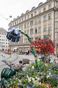 Gerhard Willhalm – Biodiversität