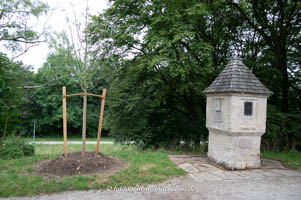Korbiniansapfelbaum