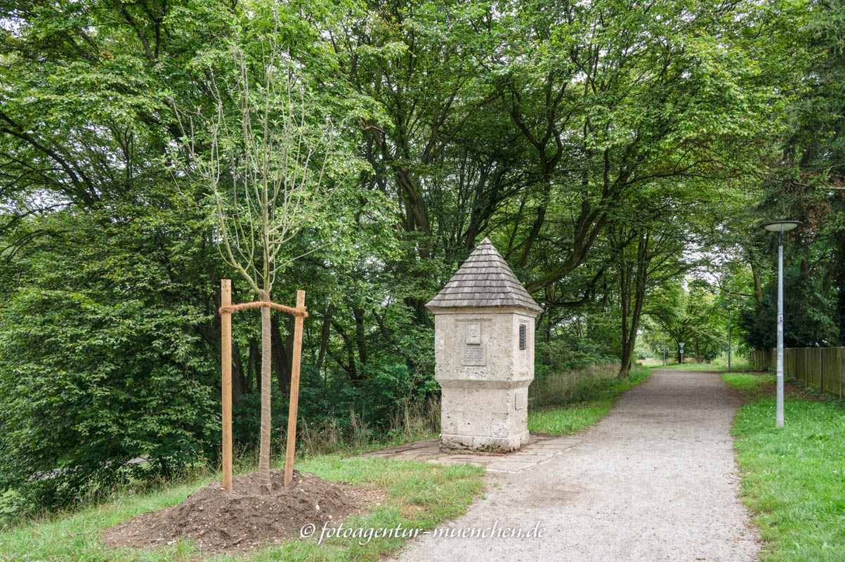 Korbinian-Apfelbaum für NS-Opfer – Denkmal/Kunstwerk in München