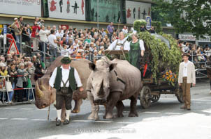 Gerhard Willhalm - Wirteeinzug - Nashorn