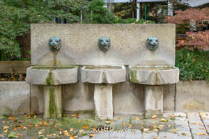 Gerhard Willhalm – Löwenbrunnen
