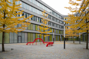 Gerhard Willhalm – Modified Social Bench NY #15, 2015