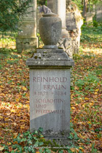 Reinhold Braun