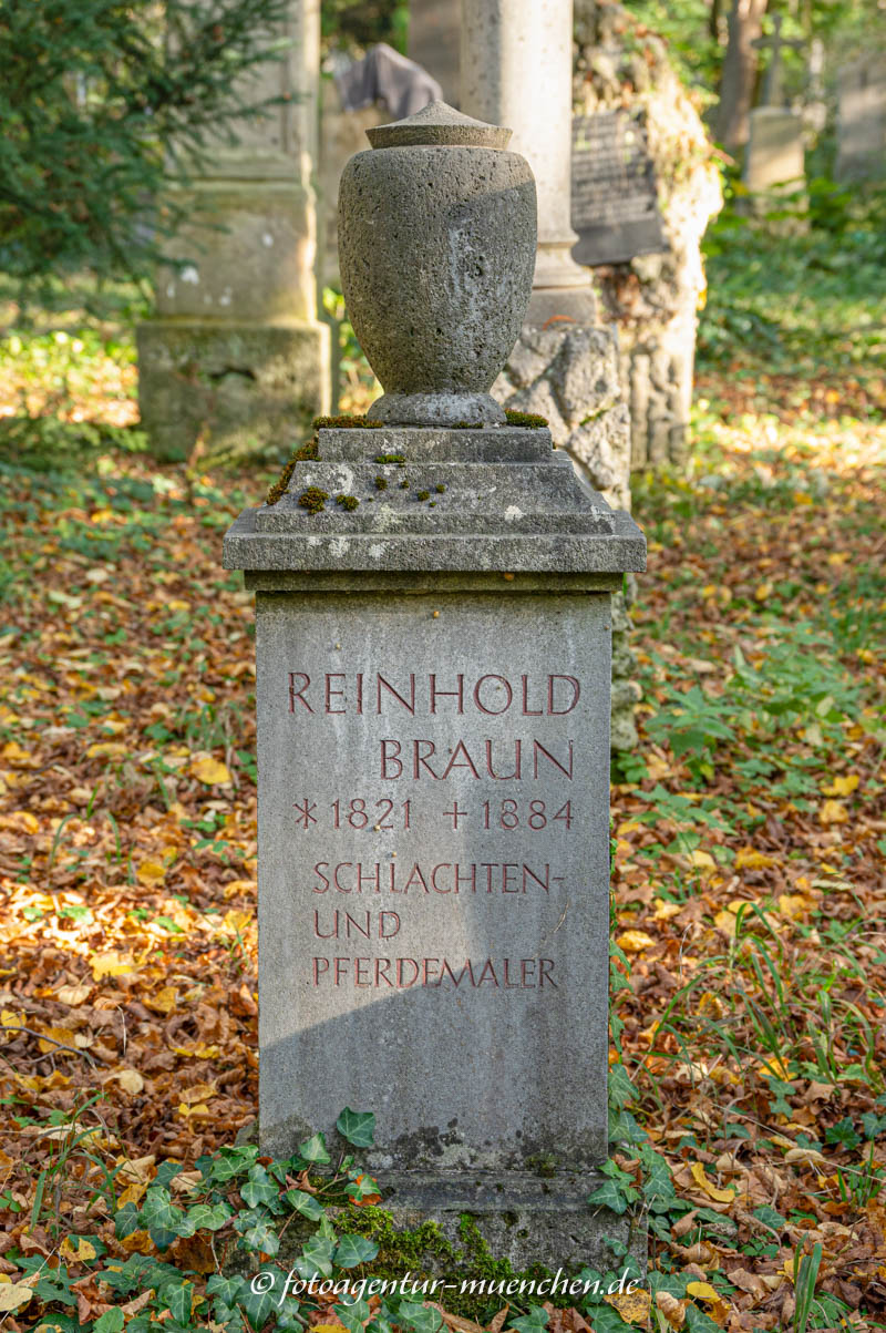 Reinhold Braun