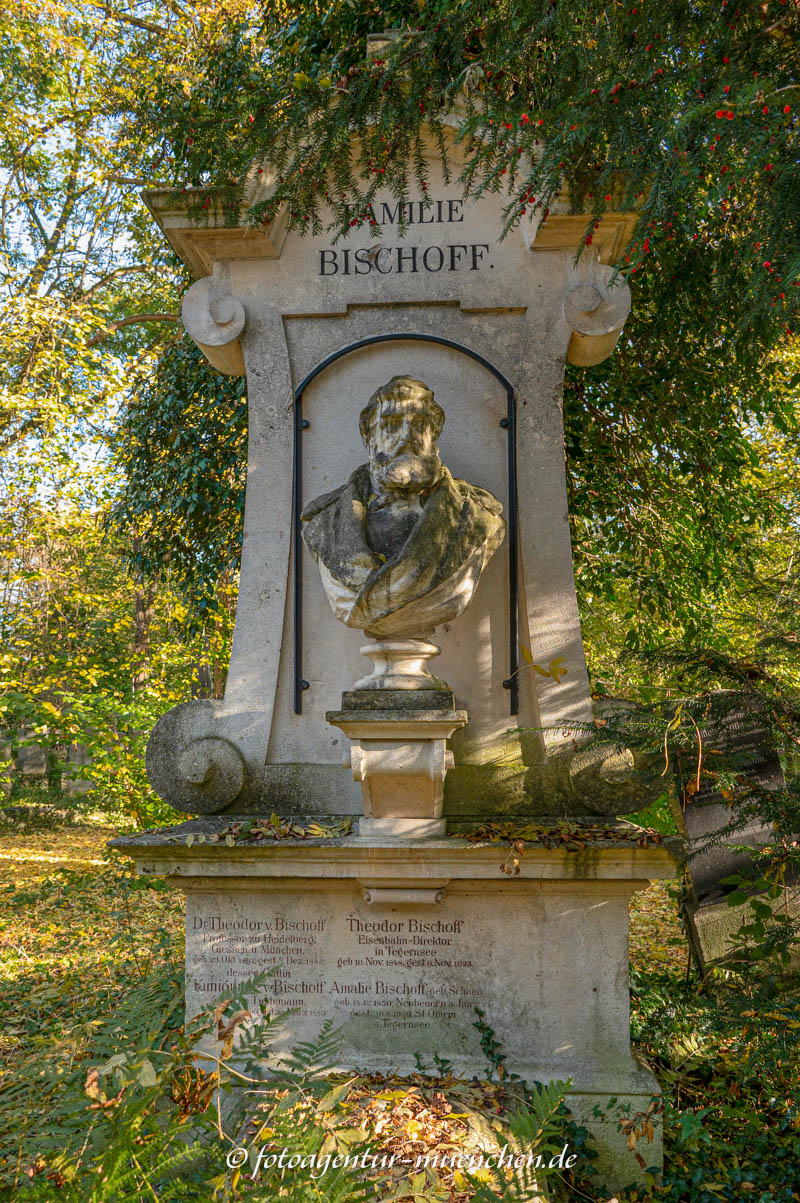 Theodor von Bischoff