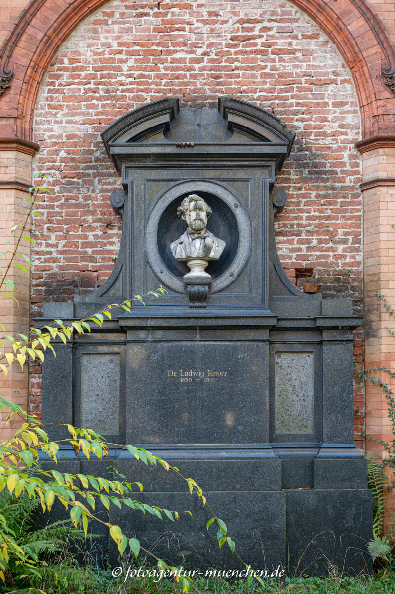 Ludwig Knorr