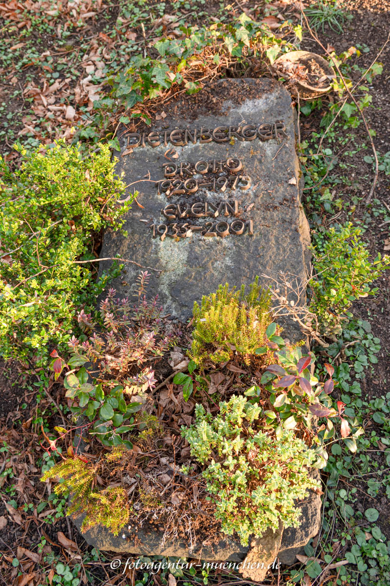Evelan Dietenberger
