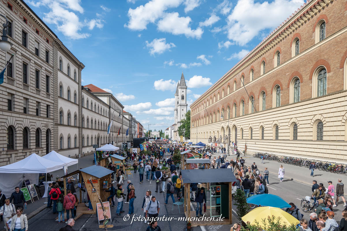 Ludwigstraße am Europatag
