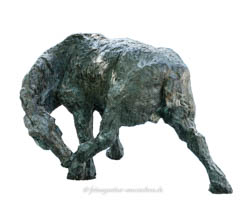 Pferd, sich beißend 1965